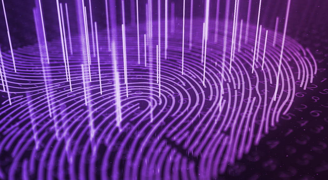 Maintaining And Managing A Positive Digital Footprint SafeSpace